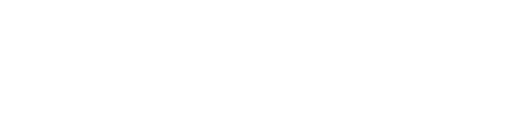 saltrom-logo